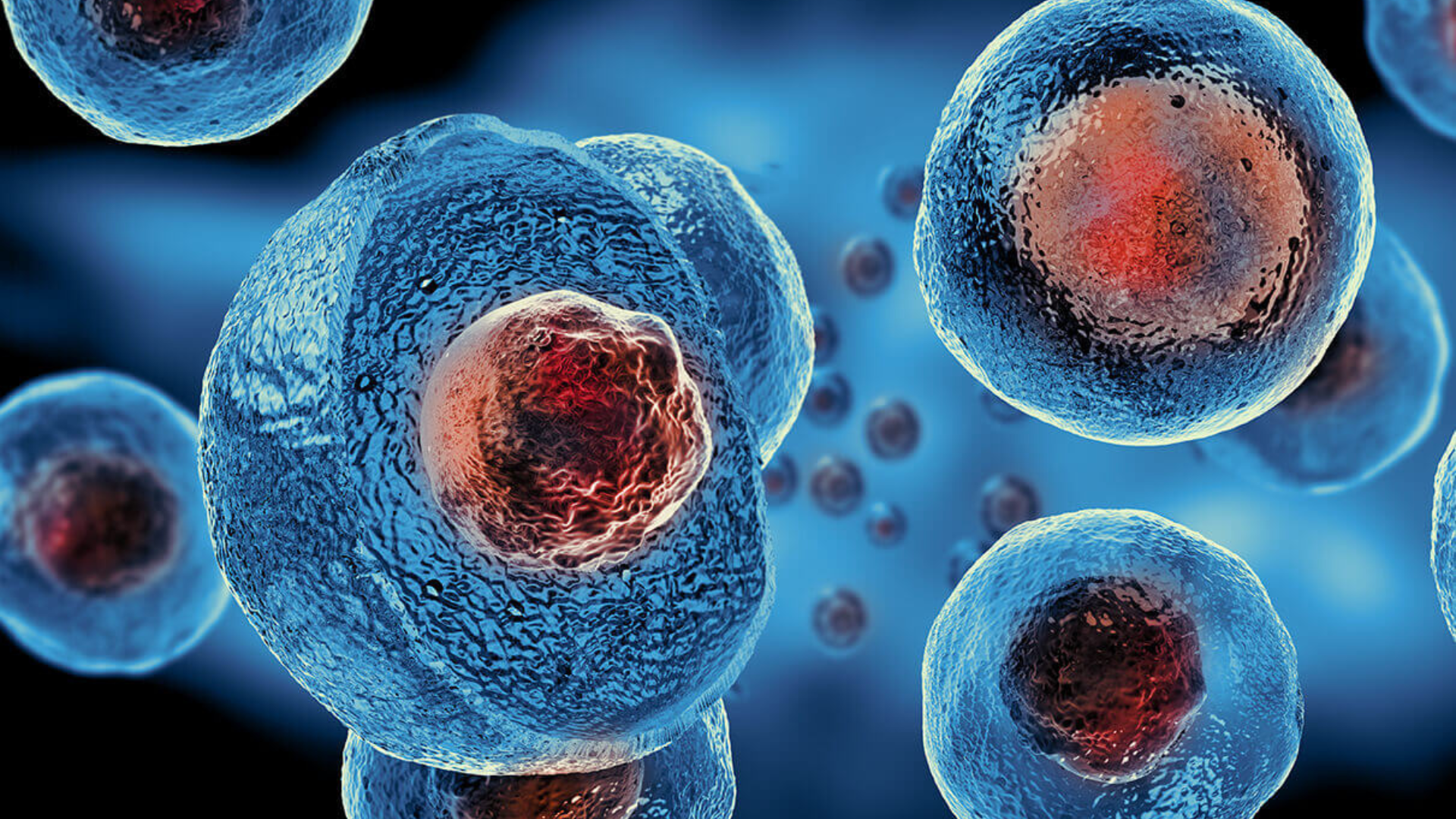 Stem Cell Therapy